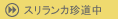 $B%9%j%i%s%+DAF;Cf(B